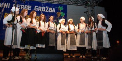 &#039;Dani berbe grožđa – Brotnjo 2015&#039;&#039;