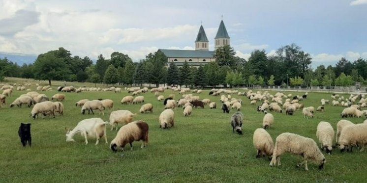 Fra Marijan Karaula fotoaparatom zabilježio zanimljiv prizor