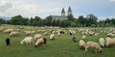 Fra Marijan Karaula fotoaparatom zabilježio zanimljiv prizor