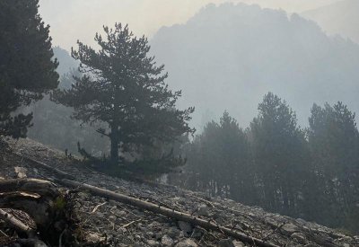 POŽAR NA ČVRSNICI POD KONTROLOM