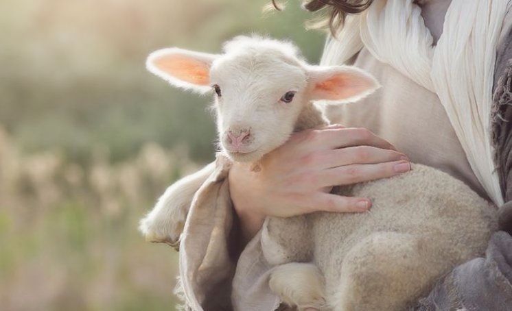 Pomirne molitve da postigneš milost i milosrđe Božje u svim potrebama poradi Presvete Krvi Isusove