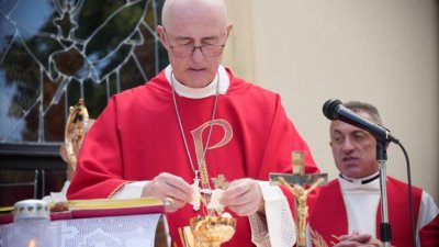 Oproštaj od nuncija Lingue