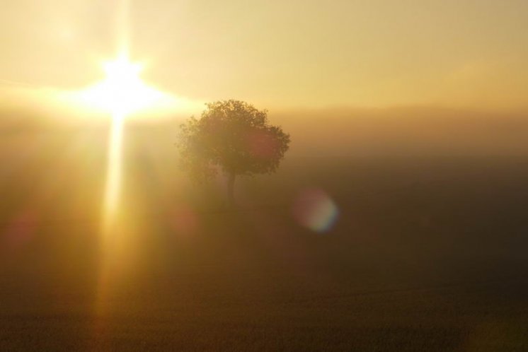 Evanđelje dana, 23.02.2026.