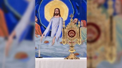 Relikvije sv. Franje Asiškoga trajno izložene u crkvi sv. Ante na Bistriku